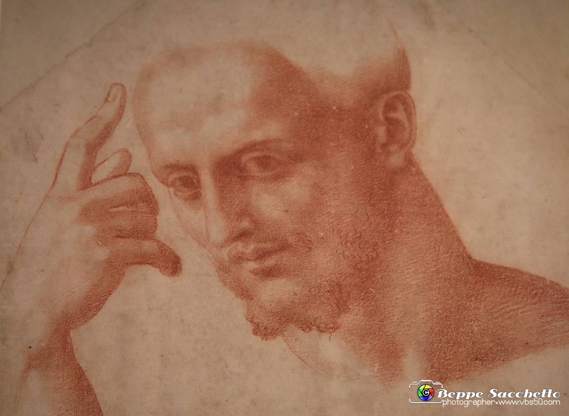 VBS_0037 - Mostra Nel segno di Raffaello.jpg